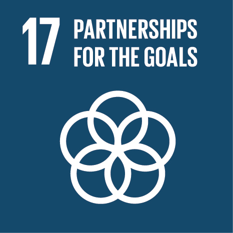 17. Partnerships for the Goals